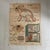 Vintage School Poster of Insectivorous Animals / Rabbit, 1950s For Sale - Image 10 of 11