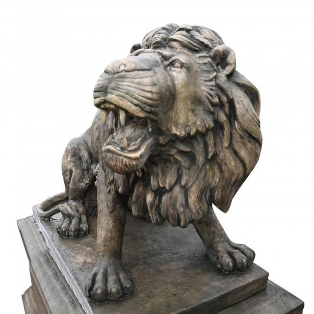 A monumental pair of lion statues on pedestal bases at over five feet tall - 154 cm - these magnificent beasts are...