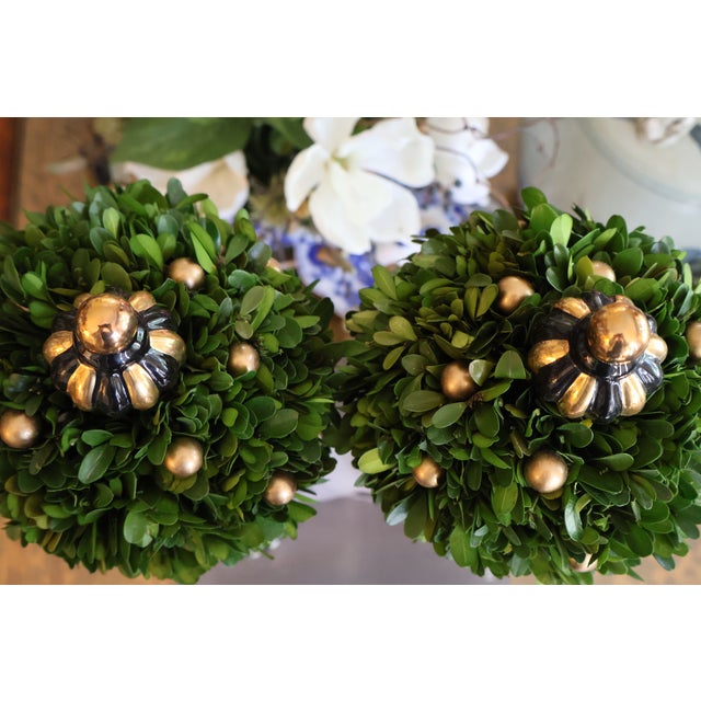 MacKenzie-Childs Courtly Check Holiday Boxwood Topiary Trees With Gold Accents — A Pair For Sale - Image 18 of 18