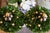 MacKenzie-Childs Courtly Check Holiday Boxwood Topiary Trees With Gold Accents — A Pair For Sale - Image 18 of 18