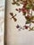 Vintage Tray with Botanical Tile from Villeroy & Boch, 1950s For Sale - Image 10 of 12