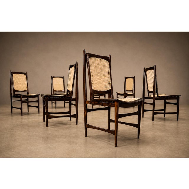 Mid-Century Modern Set of Ten Brazilian Mid-Century Dining Chairs by Alexandre Rapoport, 1960s For Sale - Image 3 of 18
