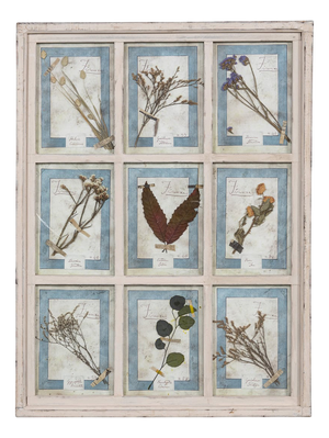 Large Italian Oak Frame Containing Pressed Flowers and Herbs, 1980s