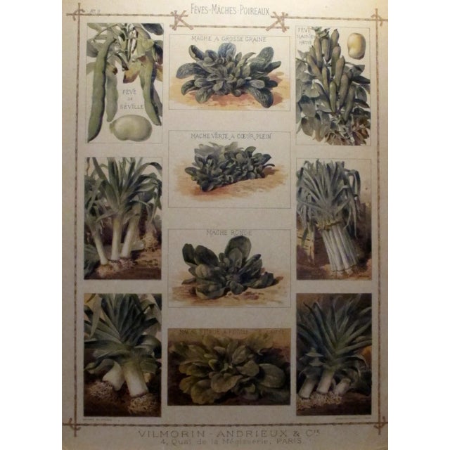 A delightful French advertising piece from the very early 1900's. It is printed on thick card stock and can be hung by the...