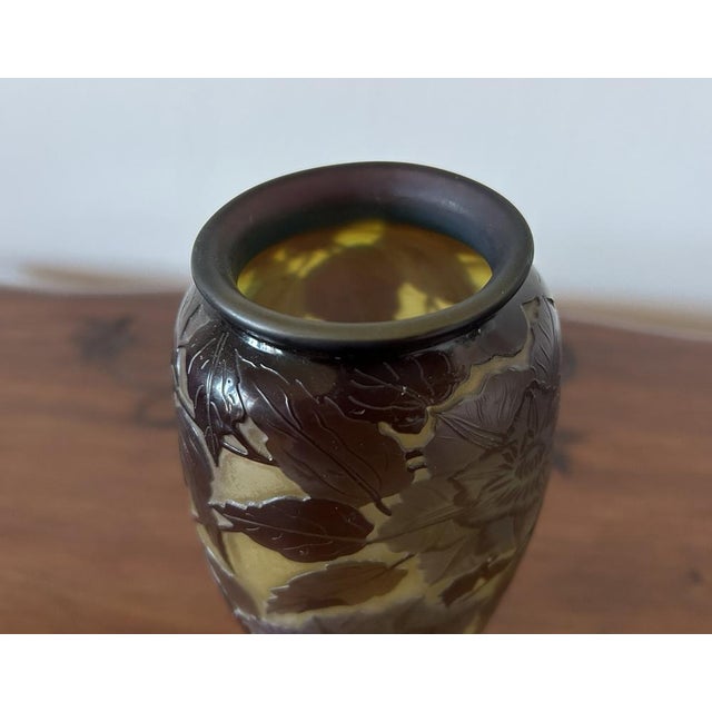 Ovoid-Shaped Glass Vase from Emile Gallé, 1890s For Sale - Image 15 of 18