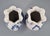 Late 19th Century Antique French Blue and White Faience Vases from Desvres, Fourmaintraux-Courquin, 1880s, Set of 2 For Sale - Image 5 of 10