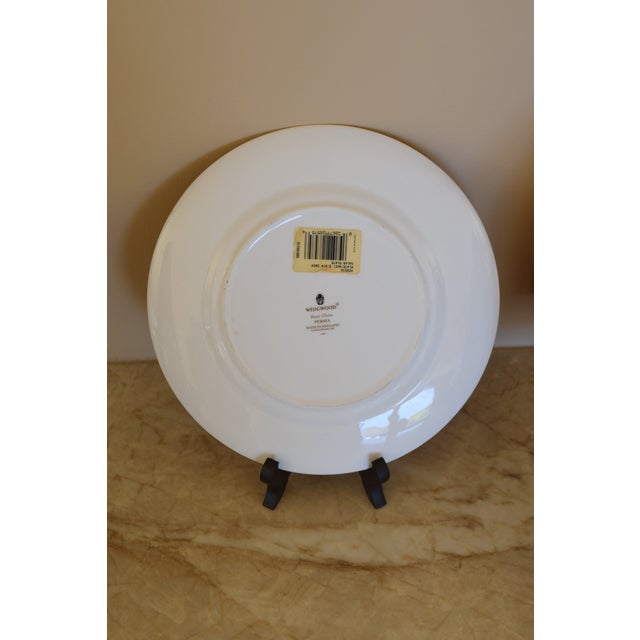 1990s Wedgwood Persia Plate Set - 3pcs For Sale - Image 9 of 11