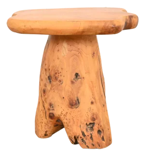 Organic Modern Burl Root Occasional Side Table