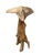 Whimsical Hand-Carved Teak Root Mushroom Garden Sculpture For Sale - Image 4 of 12