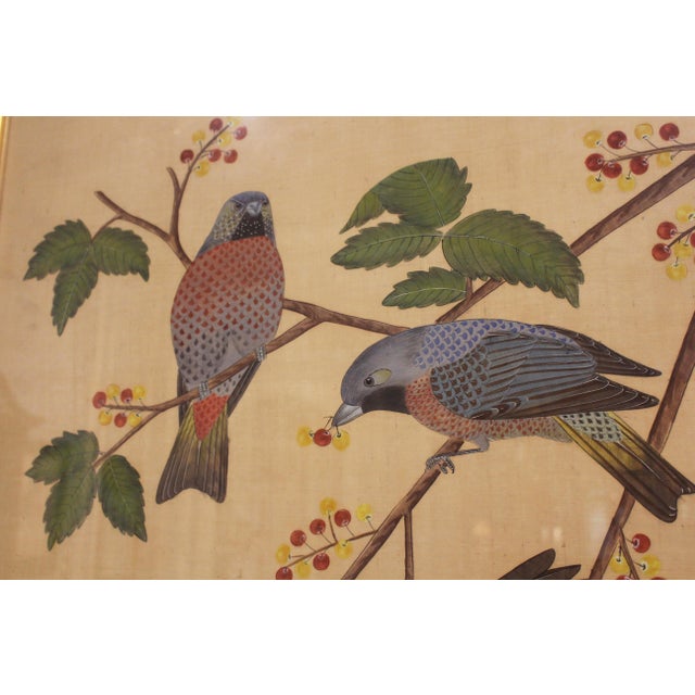 Early 20th century Kacho-ga Japanese painting on silk. Bird & branch depiction - foraging birds expertly rendered, likely...
