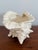 Large Ceramic Conch Shell For Sale - Image 4 of 10