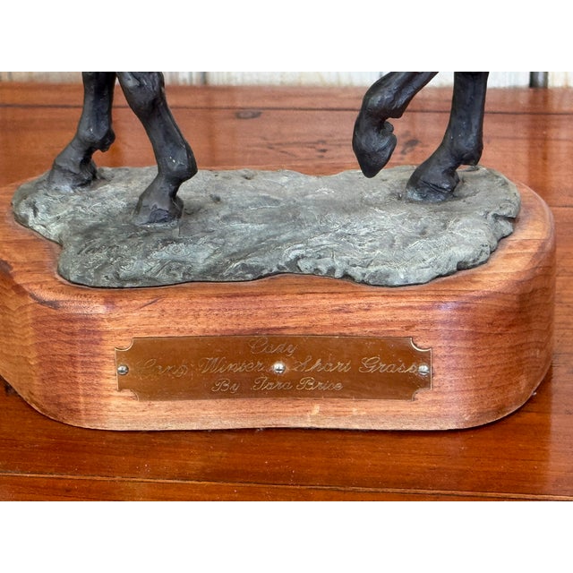 Mid 20th Century "Cody" Bronze Horse Sculpture by Tara Brice For Sale - Image 6 of 7
