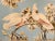 Mid-Century Modern Mid-Century Turner Wall Art Cockatoos For Sale - Image 3 of 6
