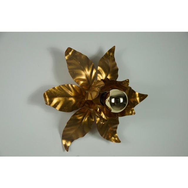 Florentine Flower Shape Wall Lamps attributed to Hans Kögl, Germany, 1950s For Sale - Image 10 of 11