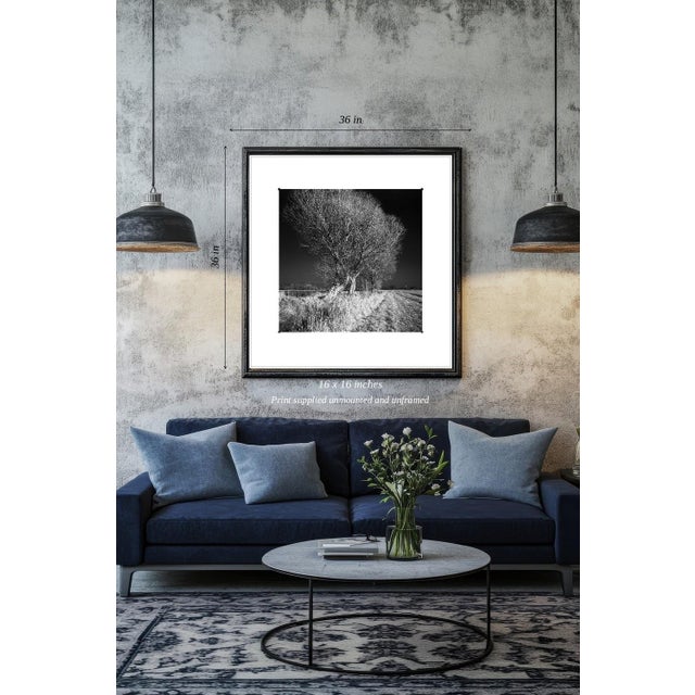 Paul Cooklin, West Thorpe IV, Edition of 50 For Sale - Image 4 of 4