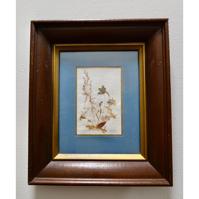 Mid 20th Century Vintage Erika Originals Swiss Pressed Botanical Flower Art, Pair — Matted & Framed Alpine Wildflowers For Sale - Image 5 of 10
