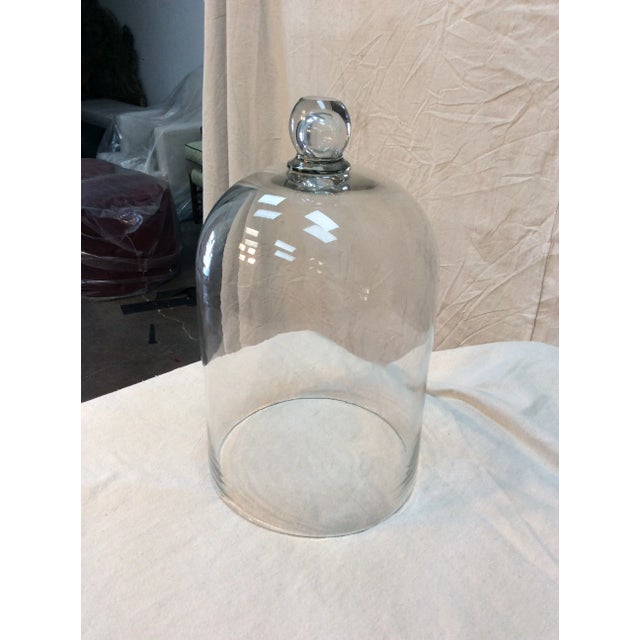 French 1800s French Glass Dome, Cloche With Solid Glass Knob Handle For Sale - Image 3 of 12