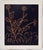 Pablo Picasso, Plante aux toritos, Etching For Sale - Image 4 of 4
