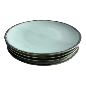 Sophie Villepigue Porcelain Plates for Barneys New York - Set of 4