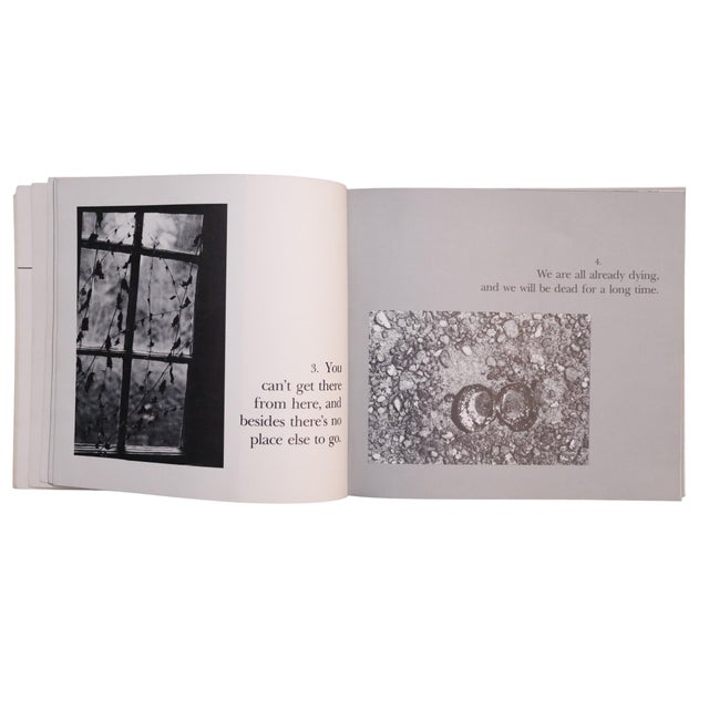 No Hidden Meanings For Sale - Image 4 of 5