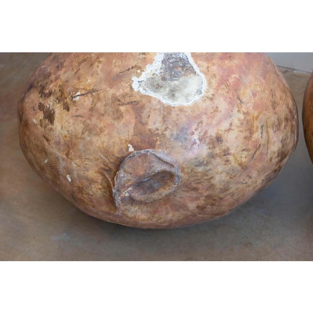 Large Spanish Papier-Mâché Olive Oil Jar with Aged Patina, circa 1830 For Sale - Image 4 of 4