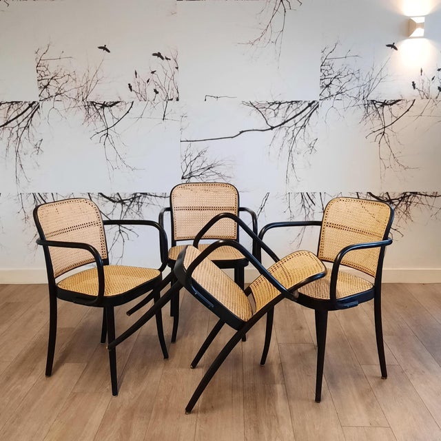 No. 811 Prague Chairs by Josef Hoffmann for Ligna, 1970s, Set of 4 For Sale - Image 4 of 18