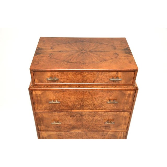 Brown Art Deco Burr Walnut Chest of Drawers, 1930s For Sale - Image 8 of 12