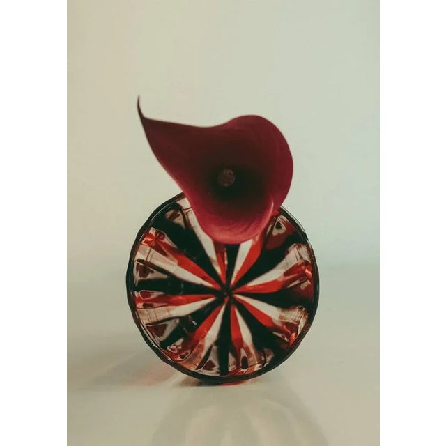 Early 21st Century Cocktail Set in Murano Glass by Mariana Iskra, Set of 6 For Sale - Image 5 of 9