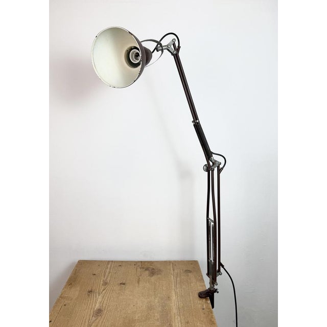 Brown Vintage Brown Architect Table Lamp from Napako, 1950s For Sale - Image 8 of 18