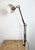 Brown Vintage Brown Architect Table Lamp from Napako, 1950s For Sale - Image 8 of 18