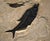 Contemporary Fossil Fish Mural 9005gm For Sale - Image 3 of 5