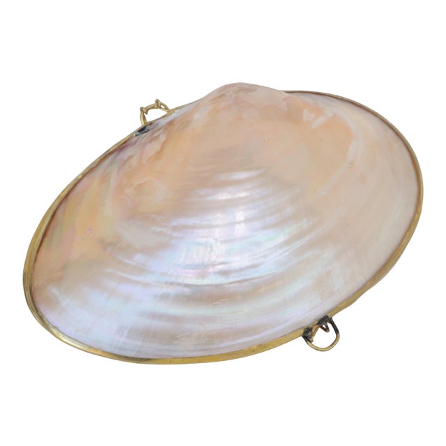 Mother of Pearl Shell Box With Brass Trim For Sale