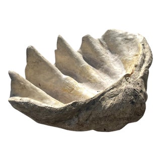 Monumental Carved Stone Faux Clam Shell Coastal Decor For Sale