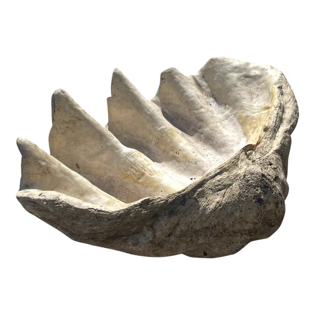 Monumental Carved Stone Faux Clam Shell Coastal Decor For Sale
