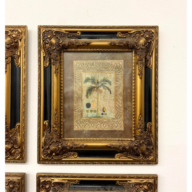 Late 20th Century Vintage Coastal Framed Palm Lithographs - Set of 4 For Sale - Image 5 of 5