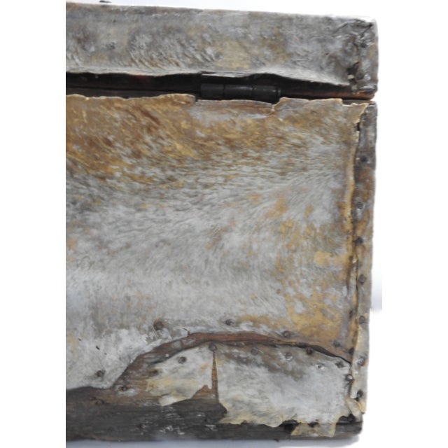 19th Century Spanish Colonial Trunk Covered in Hide For Sale - Image 9 of 11