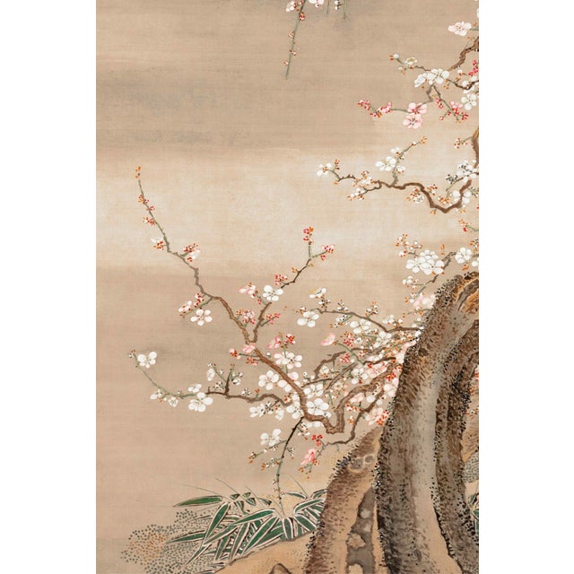 Japanese Plum Blossoms in Moonlight by Sō Shizan, Japanese Art, 16" X 24" For Sale - Image 4 of 10