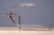 1950s 20th Century Bauhaus Tubular Steel Flower Stand with Colored Glass Shelves by Emile Guyot, Czechoslovakia, 1950 For Sale - Image 5 of 7