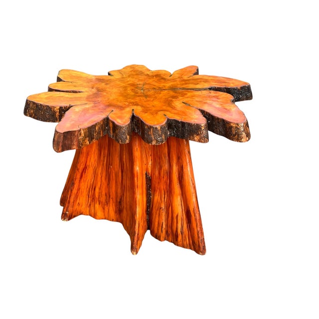 Beautiful Vintage Cypress Live Edge Tree Stump Center Coffee Table For Sale In New York - Image 6 of 15