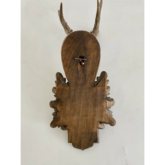 1971 German Black Forest Roe Deer Antlers For Sale In Los Angeles - Image 6 of 6