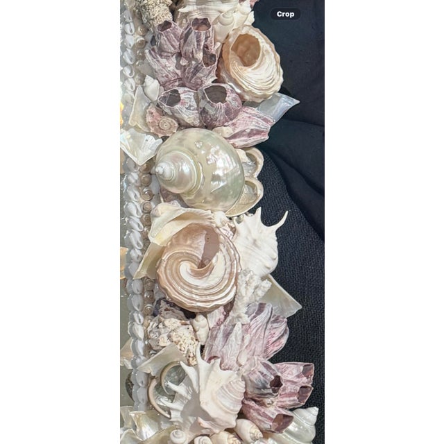 Coastal Annalise Shell Decorated Mirror For Sale - Image 3 of 9