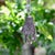 Silver Vintage Berber Hand of Fatima / Hamsa Sterling Silver Pendant With Central Flower Motif For Sale - Image 8 of 9