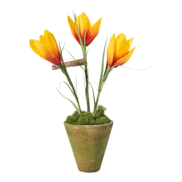 The Green Vase x Chairish Mini Crocus Plant in Yellow and Orange For Sale
