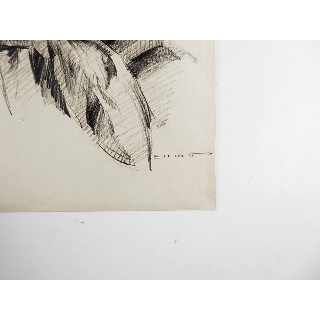 Mid 20th century pencil on paper drawing of young woman with scarf. Signed Elliott lower right corner. Unframed, age toning.