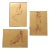 Gallery Wall Collection 3 Sepia Female Nude Sketches 1979 on Yellow Paper-set of 3 For Sale
