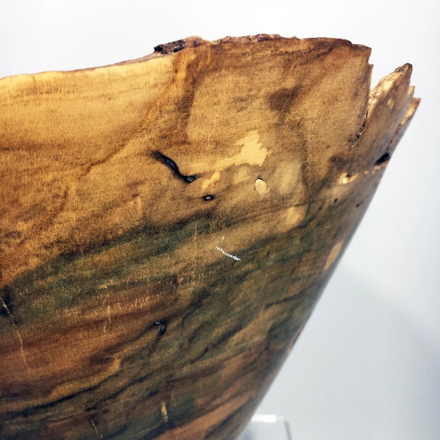 Persimmon Burl Wood Turned Art Bowl by Brian Sykes For Sale In Baltimore - Image 6 of 9