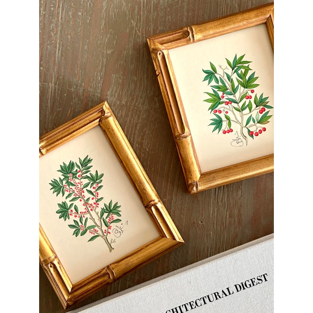 Realism Original Hand-Painted Botanical Painting For Sale - Image 3 of 3