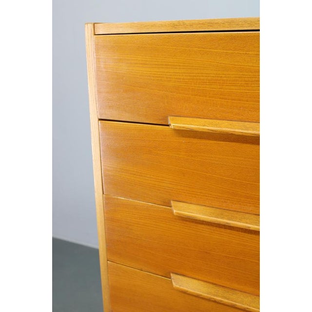 Mid-Century Maple Chest of Drawers, Czechoslovakia, 1960s For Sale - Image 12 of 17