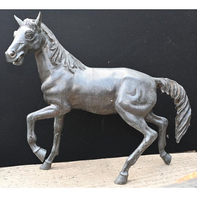 Characterful Italian bronze horse statue Good size at over three feet tall - 93 CM Of course being bronze this can live...