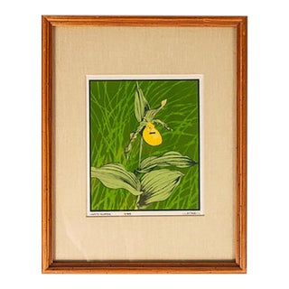 Mid-Century Modern Boho Chic 18/65 Framed & Signed Lithograph Print of a Lady's Slipper Orchid by John Cook, Usa, C. 1960s For Sale